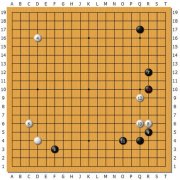 <b>但愿人类棋手能操纵其弱胜之</b>